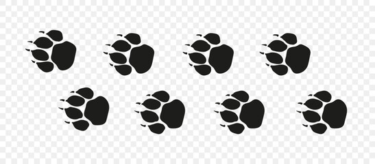 Tiger or lion paw footprint way.  Lion  paws walking randomly print vector isolated on white background.  Vector animal steps in black color. - obrazy, fototapety, plakaty