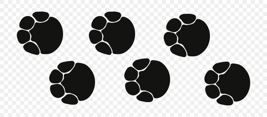 Footpath trail of animal. Elephant paws. Elephant paws walking randomly print vector isolated on white background.