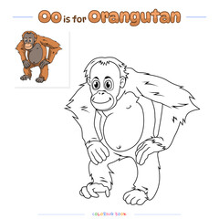 Coloring Page Orangutan Cartoon © 54 Design