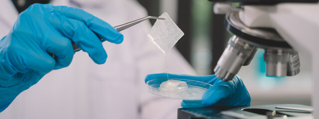 scientist looking through a microscope aloe vera for testing, Is a research and development in...