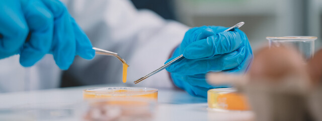 Researchers are studying nutrition, research and egg density. for freshness and cleanliness of eggs