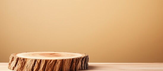 Isolated wooden slice on a isolated pastel background Copy space Tree trunk cut Decorative stump