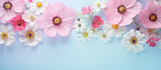 Floral stock on isolated pastel background Copy space