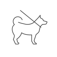 Dog on leash line icon