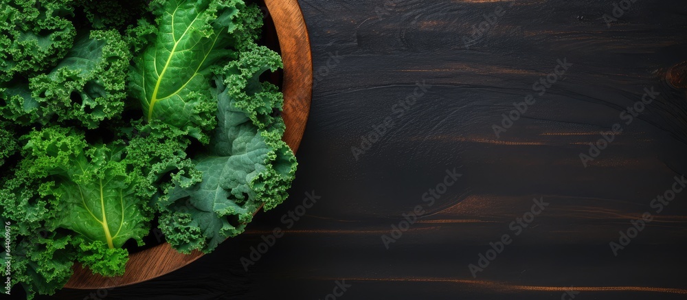 Poster kale leaves isolated on a isolated pastel background copy space with copy space
