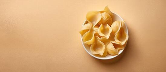 Italian pasta Conchiglioni on a isolated pastel background Copy space with clipping path and depth of field