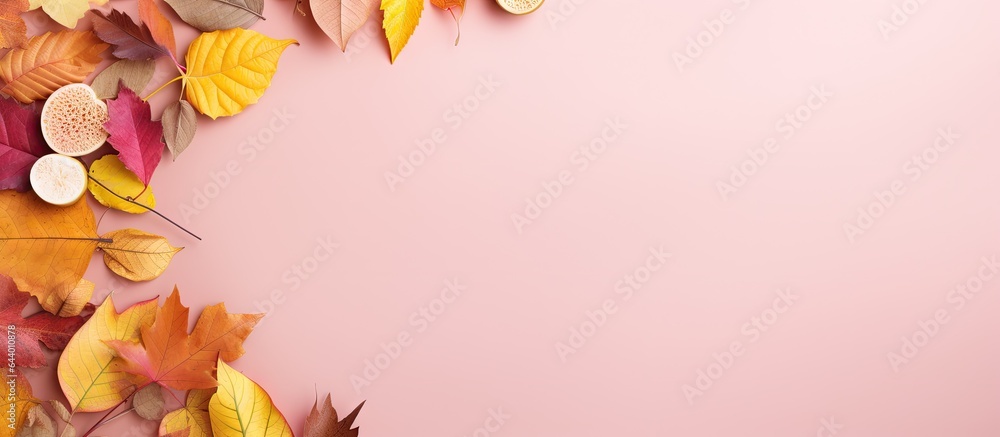 Poster fall foliage arranged in a circular frame on isolated pastel background copy space from a top down v