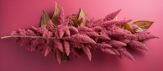 Amaranth seeds statistical table for sales and usage isolated pastel background Copy space