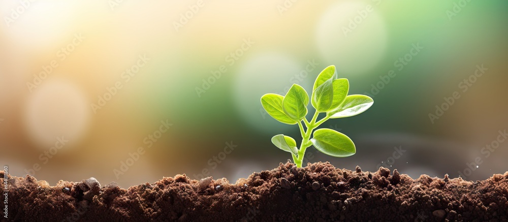 Aufkleber concept of eco friendly agriculture shown with an enlarged image of a small green oregano sprout eme