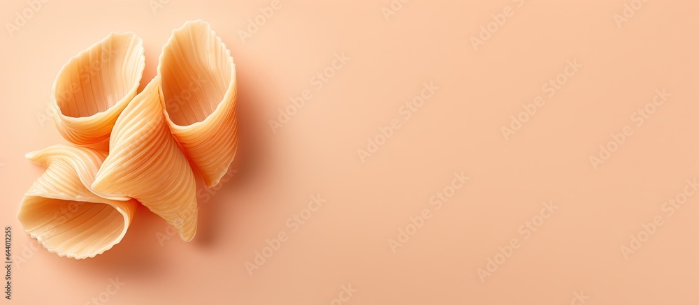Poster italian pasta conchiglioni on a isolated pastel background copy space with clipping path and depth o