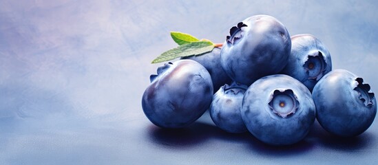 Image featuring two blueberries in close up isolated pastel background Copy space