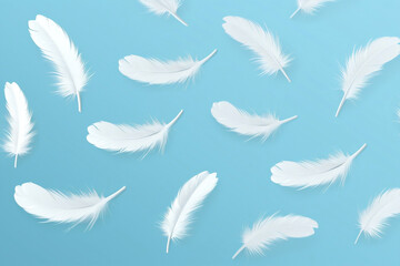 White bird wing feathers soft background