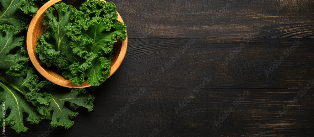 Poster kale leaves isolated on a isolated pastel background copy space with copy space
