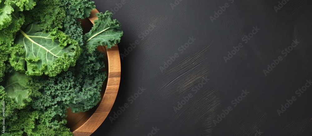 Poster kale leaves isolated on a isolated pastel background copy space with copy space