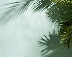 Fototapeta na wymiar Rectangular podium on natural palm leaf shadow pastel green backdrop. Tropical product promotion Beauty cosmetics. Nude Studio Minimal showcase