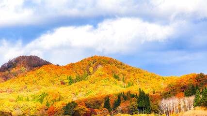 紅葉風景｜恩原高原