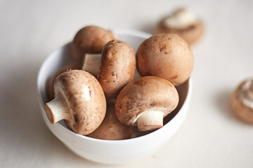 Champignon mushrooms