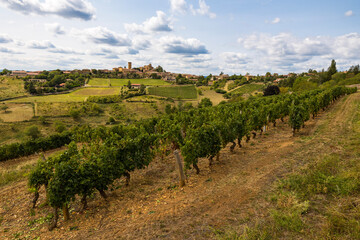 Fototapeta na wymiar Village médiéval d’Oingt construit en pierres dorées typique de cette région du Beaujolais depuis les vignobles aux alentours