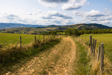 Fototapeta na wymiar Paysage de collines et de vignobles du Beaujolais à proximité du village d’Oingt depuis un chemin de randonnées
