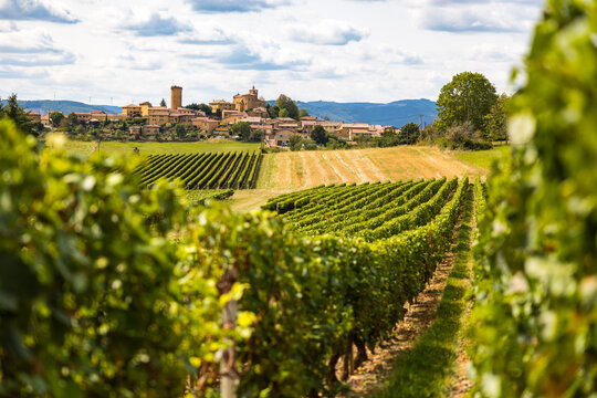 Village m&eacute;di&eacute;val d&rsquo;Oingt construit en pierres dor&eacute;es typique de cette r&eacute;gion du Beaujolais depuis les vignobles aux alentours