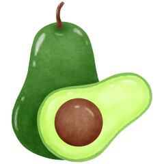 avocado fruit illustration 