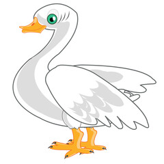Vector illustration of the cartoon of the fowl goose