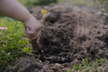 Little kids arm holding tiny shovel digging a hole in dark ground
