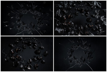Set of black halloween wreaths and centipedes, spiders, bugs on dirty dark background
