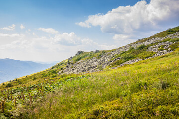 Beautiful view of the Ukrainian mountains Carpathians and valleys.Beautiful green mountains in summer with forests, rocks and grass. Water-making ridge in the Carpathians, Carpathian mountains