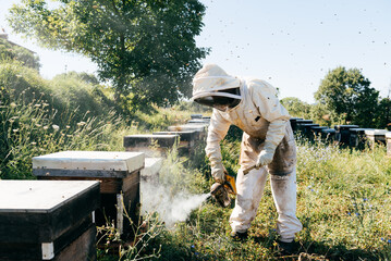 Unrecognizable beekeeper calming bees with smoker in apiary