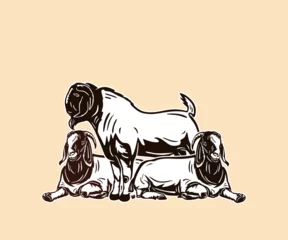 Deurstickers BIG BOER GOAT AND FEMALE LOGO, silhouette of great happy family goat in farm vector illustrations. © nenk123