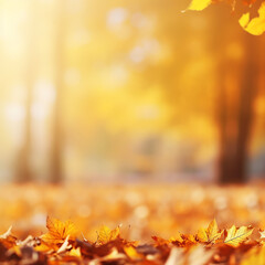 Autumn leaves on a background of the sun in the park.
