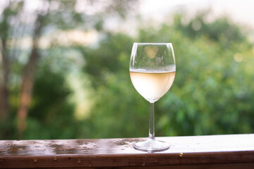 sunlight through glass of white vine in a vineyard making romantic calm atmosphere