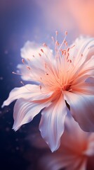 Fototapeta premium A close up of a flower with a blurry background
