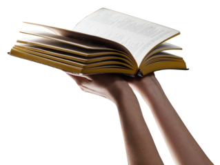 Bible in woman hands over transparent background