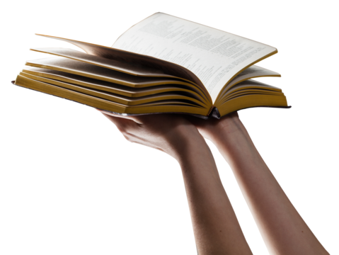 Bible in woman hands over transparent background - Powered by Adobe