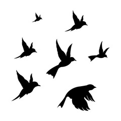 silhouettes of flock birds fly in sky