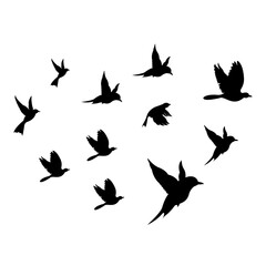 silhouettes of flock birds fly in sky