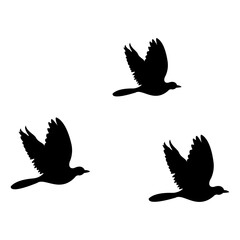 silhouettes of flock birds fly in sky