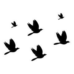 silhouettes of flock birds fly in sky