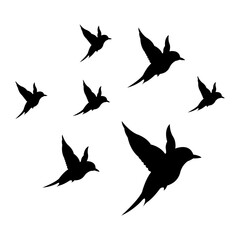 silhouettes of flock birds fly in sky