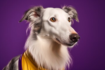 Close-up portrait photography of a happy borzoi wearing a sports jersey against a vibrant purple background. With generative AI technology