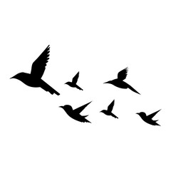 silhouettes of flock birds fly in sky