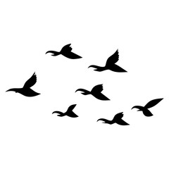 Fototapeta premium silhouettes of flock birds fly in sky