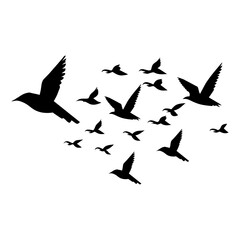 silhouettes of flock birds fly in sky