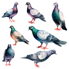 set of pigeons in watercolor, generative AI