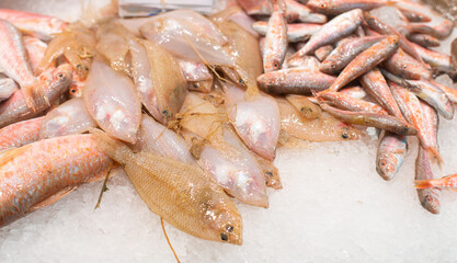 fresh fish seafood on ice at farmers' covered market