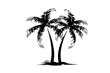 Fototapeta premium Palm tree with coconut hand drawn sketch. Ink silhouette vector illustration.