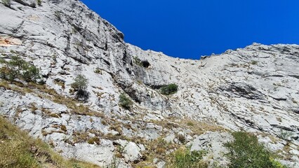 landscape in the mountains .