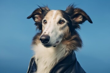 Medium shot portrait photography of a funny borzoi wearing a leather jacket against a navy blue background. With generative AI technology